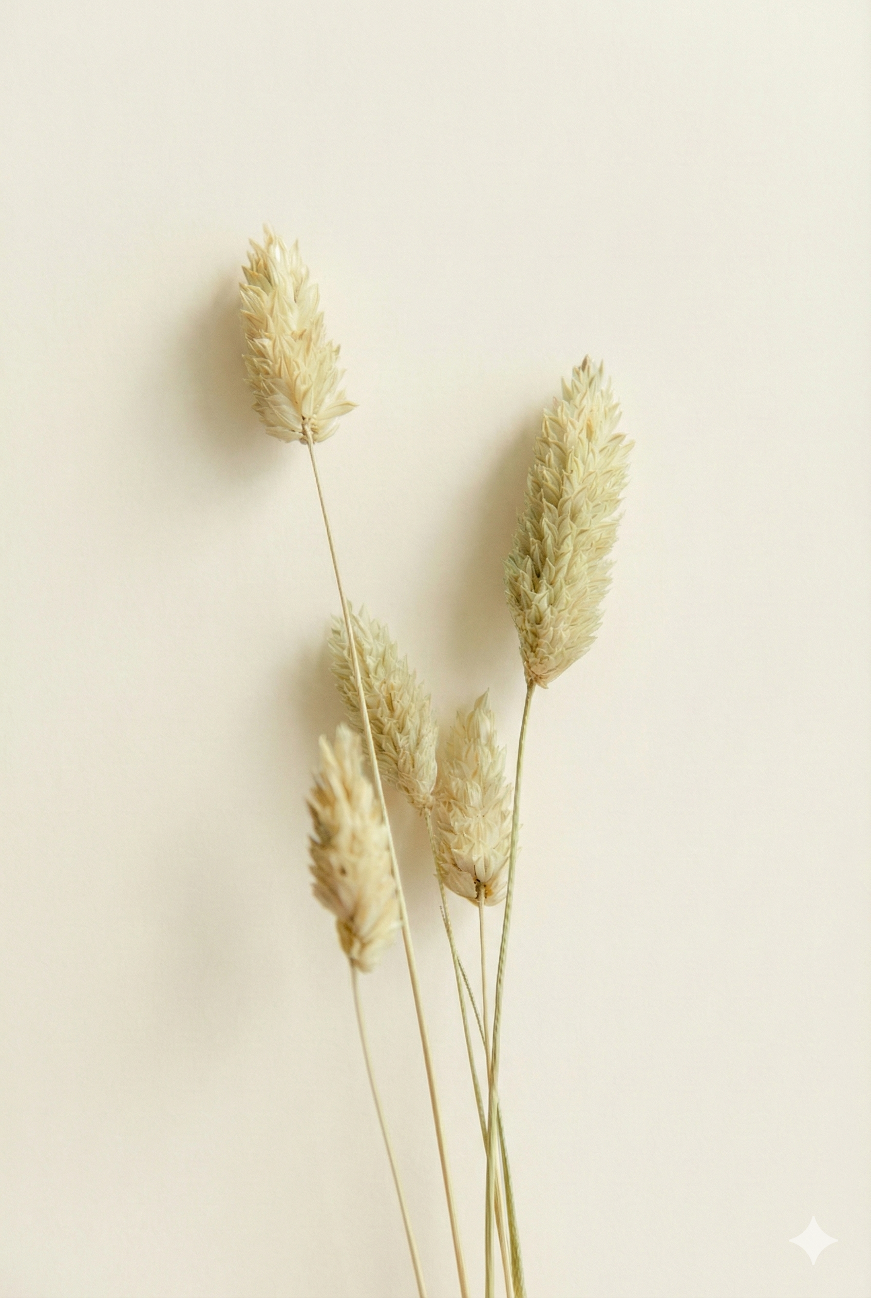 마음을 담아 만든 서체 이야기