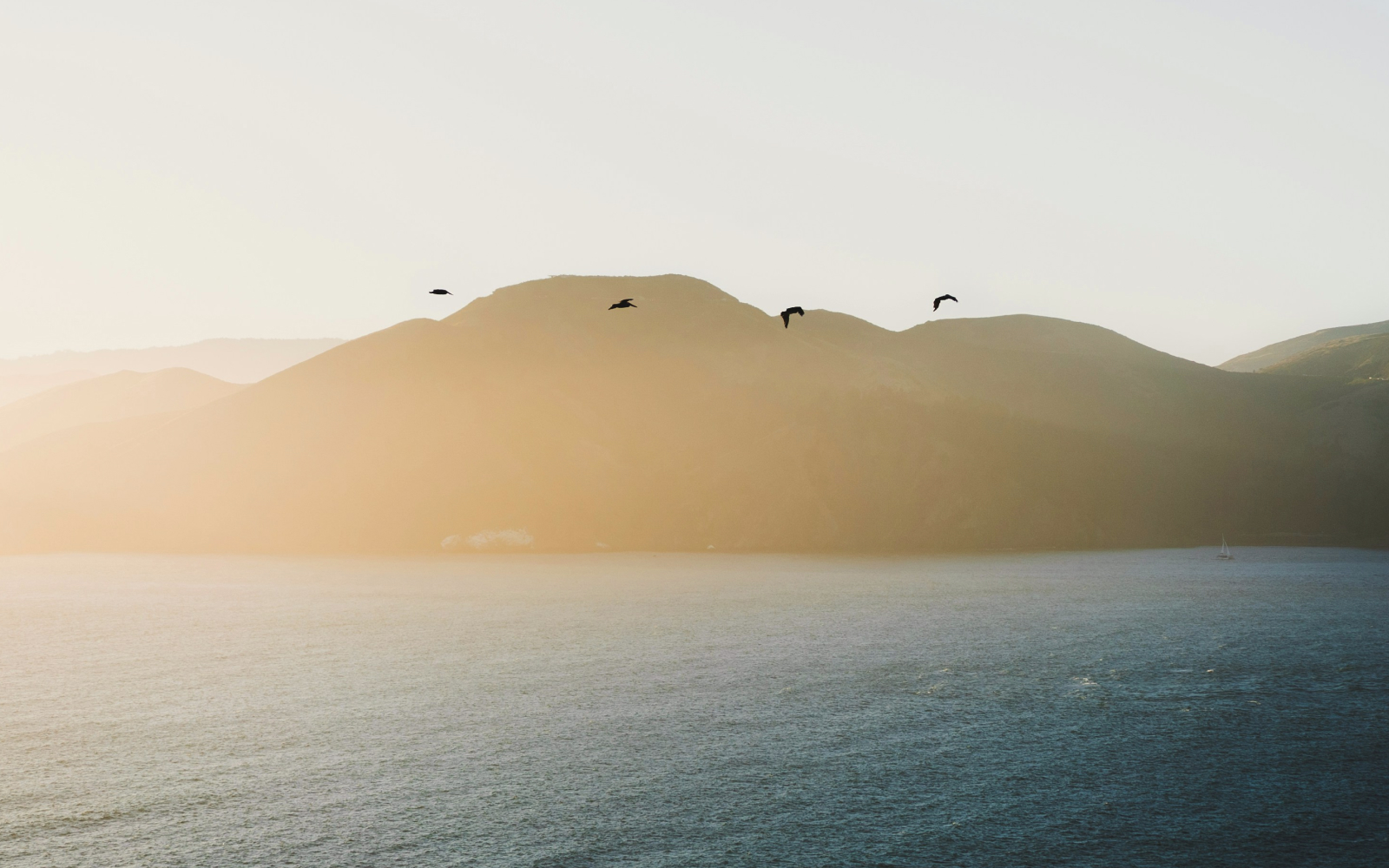 자연을 닮은 쏠라체, 왜 편안하게 느껴질까요?