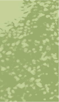 삶을 존중하는 철학